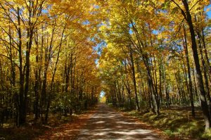 Nationally designated scenic roadways